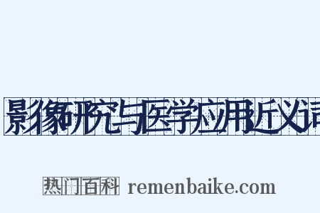 影像研究与医学应用近义词是什么意思的图片